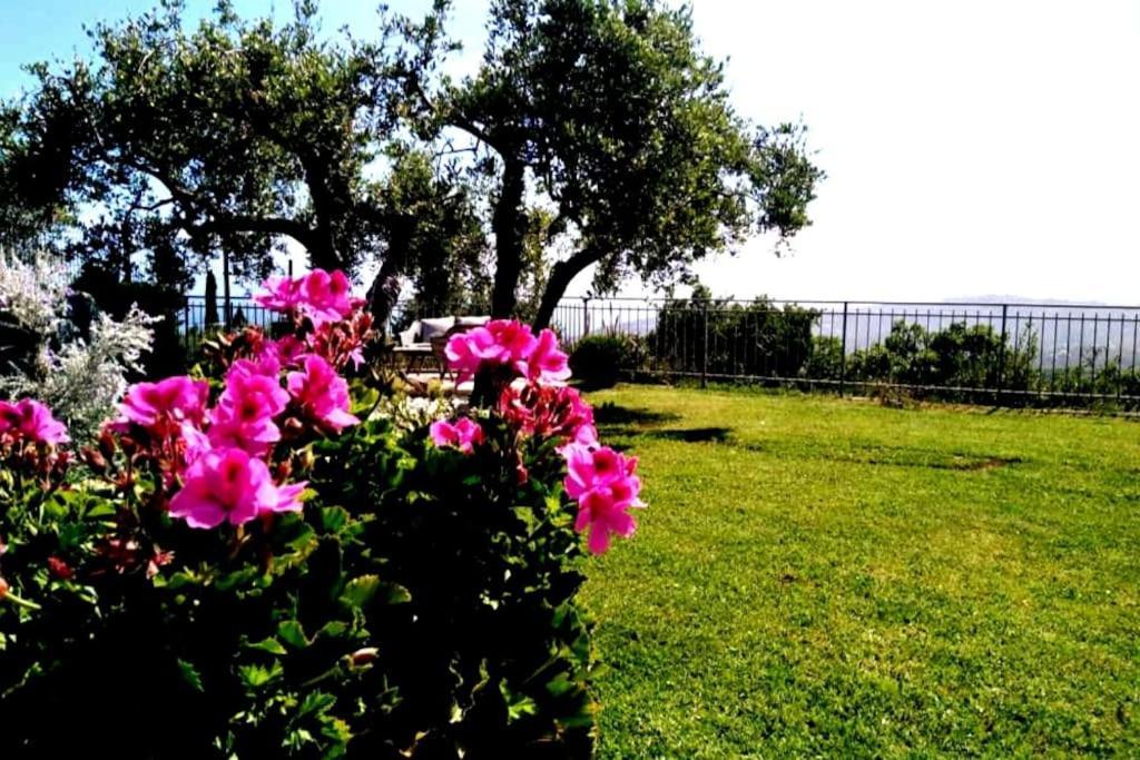 因佩里亚Casa Vista Mare - Superb Garden And Parking Included别墅 外观 照片