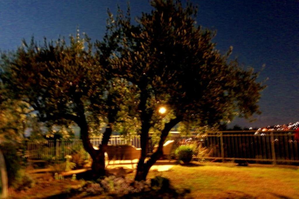 因佩里亚Casa Vista Mare - Superb Garden And Parking Included别墅 外观 照片