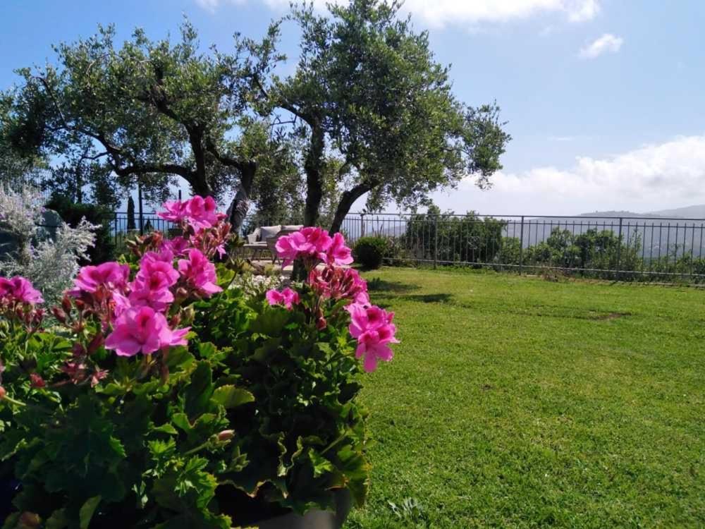 因佩里亚Casa Vista Mare - Superb Garden And Parking Included别墅 外观 照片